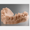 Economic Restoration Demonstration Dental Mold018